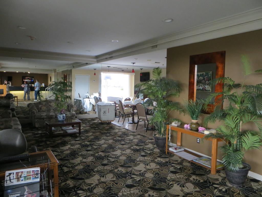 Homestyle Inn And Suites Springfield Exterior foto